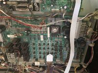 B64D2373-B7B0-4690-87A0-0C2582AEB144.jpeg