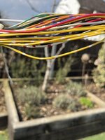 28C2331D-7B83-48DE-9A06-BC293E14957B.jpeg