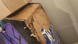 IMG_20220221_172755.jpg