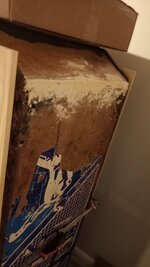 IMG_20220224_170924.jpg