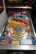 IMG_7935.jpeg