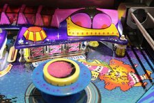 IMG_7948.jpeg