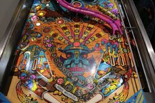 IMG_7954.jpeg