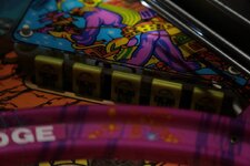 IMG_7961.jpeg