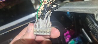 Soldered Jelly Connector.jpg