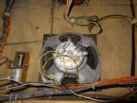 DSC05430.JPG