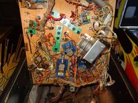 DSC05432.JPG
