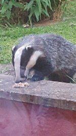 20150618_212616.jpg