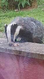 20150618_212620.jpg