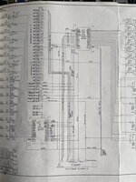 E5F8AD51-C979-4D5A-8869-096B74361710.jpeg