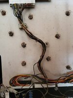 20220515_130941.jpg