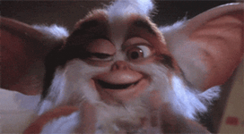 43AA9647-E9C0-4036-BAEF-8F823E308332.gif