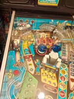 IMG_20220531_102417.jpg
