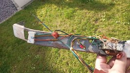 IMG_20220606_173006.jpg