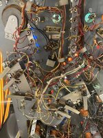 C0264620-46AD-40BF-AC9D-8C708358B869.jpeg