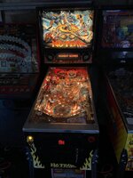 IMG_5456.HEIC.jpg