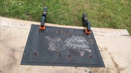 IMG_20220619_102211.jpg