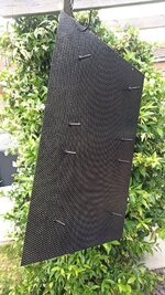 IMG_20220619_150523.jpg
