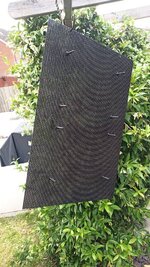 IMG_20220619_144502.jpg