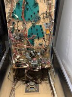 IMG_7272.JPEG