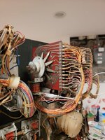 20220627_163612.jpg