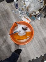 PXL_20220702_215851283.jpg
