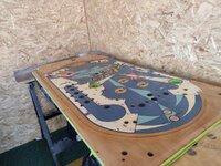 IMG_20220716_143056485.jpg