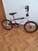 20220726_190253.jpg