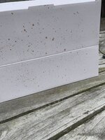 81870A2F-2676-4519-BA58-1DEAF8610E63.jpeg