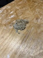 0C785BBB-6E79-4207-AA94-26C09A155F29.jpeg