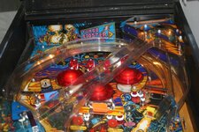 IMG_7999.JPG