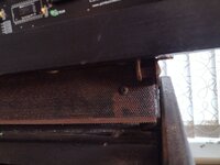 IMG_20220916_074052337.jpg