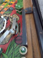IMG_20220916_073931974.jpg