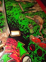 IMG_20220919_161605393.jpg