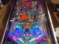 IMG_20220919_191840.jpg
