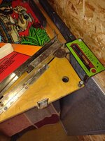 IMG_20220920_172554953.jpg