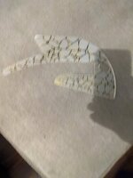 PXL_20221005_181344998.jpg