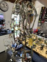 7555F207-5B0B-48EE-8E77-5BDB181C159C.jpeg
