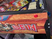 IMG_2121.jpg