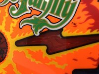 IMG_1081.jpg