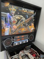 IMG_2382.jpeg