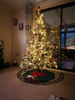 IMG_20221201_160701.jpg