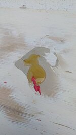 20221129_130615.jpg