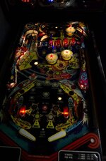 DSC_9074 (Medium).JPG