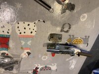 IMG_4503.jpeg