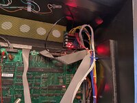 IMG_4565.jpeg