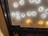 IMG_4566.jpeg