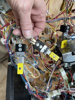 BCECD2BB-8BC1-46CD-9B93-EA449452FA3F.jpeg