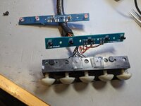 PXL_20230120_123437007.jpg