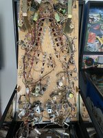 IMG_0662.JPEG